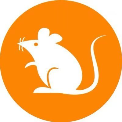 The Rats community marches into odinfun
